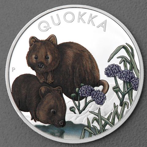 Silbermünze 1oz Australian Quokka 2023 koloriert