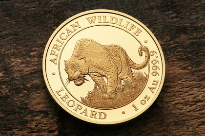 African Wildlife - Somalia Leopard, 1oz Goldmünze 2023