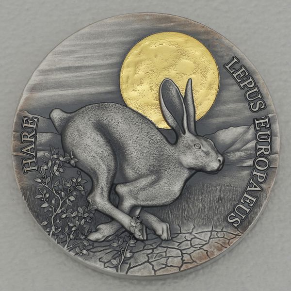 Silbermünze 1/2oz Ghana 2021 2 Cedis "Wildlife in the Moonlight" - Feldhase