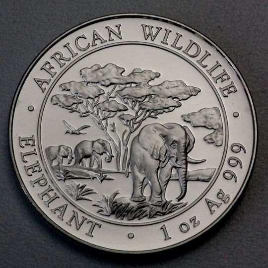 Somalia Elefant Silbermünze 2012