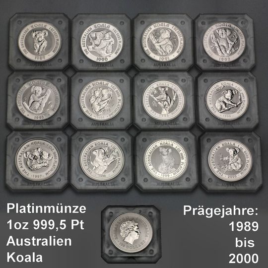 Platinmünze Koala 1oz Übersicht