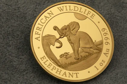 African Wildlife - Somalia Elefant, 1oz Goldmünze 2024