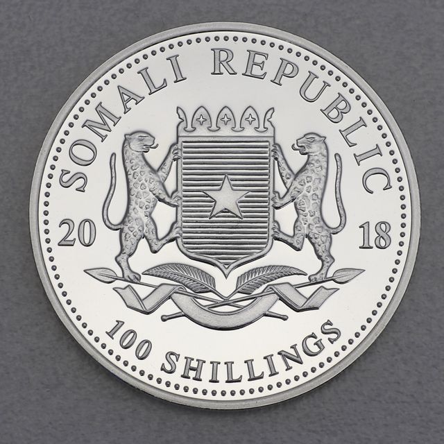 Silbermünze Somalia Leopard Wertseite