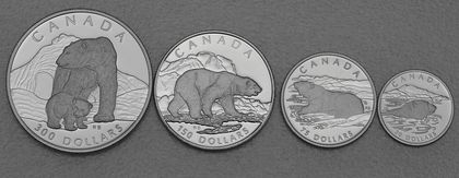 Platinmünzen Canada Wildlife Serie 1990 Polar Bear / Polarbär  1oz, 1/2oz, 1/4oz, 1/10oz