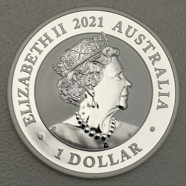 Australian Silver Swan 2021