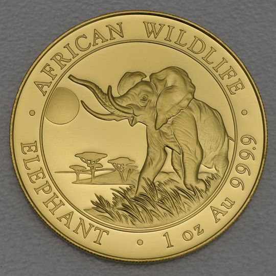 Goldmünze Somalia Elefant 2016