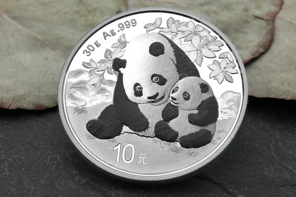 30g Silbermünze Panda, Jahrgang 2024