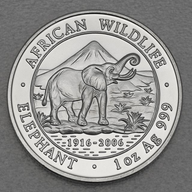 Silbermünze Somalia Elefant African Wildlife 2006