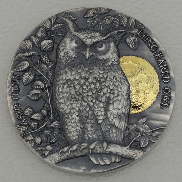 Silbermünze 1/2oz Ghana 2021 2 Cedis "Wildlife in the Moonlight" - Waldohreule