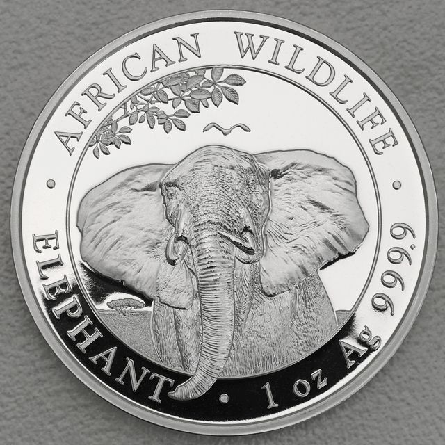 Silbermünze Somalia Elefant African Wildlife 2021