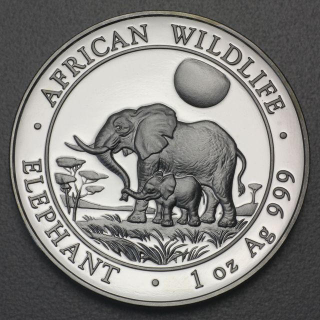Silbermünze Somalia Elefant African Wildlife 2011