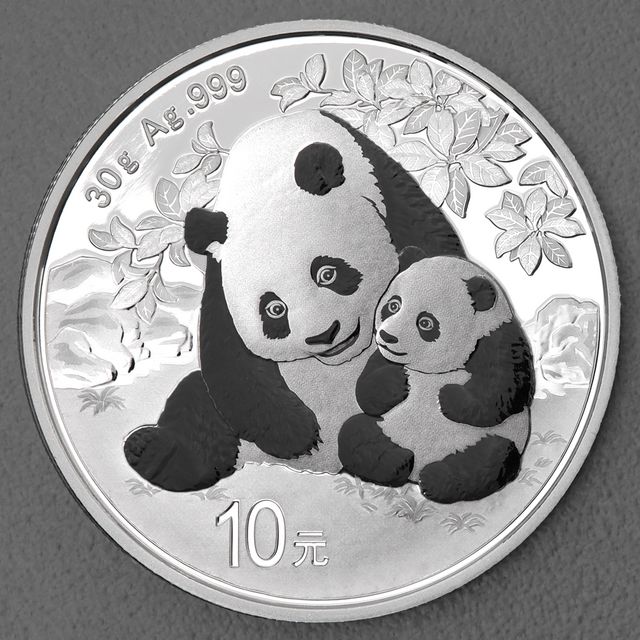China Panda Silbermünze 2024