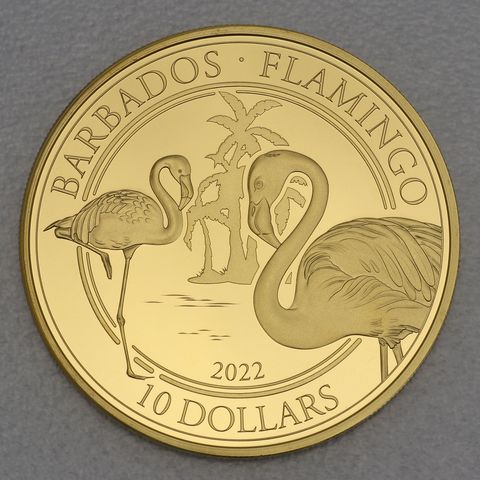 Goldmünze 1oz Barbados Flamingo 2022