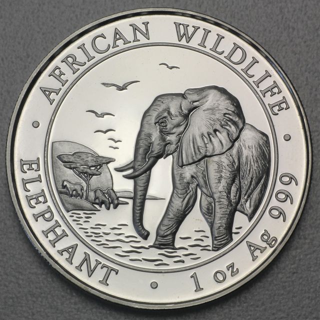 Silbermünze Somalia Elefant African Wildlife 2010