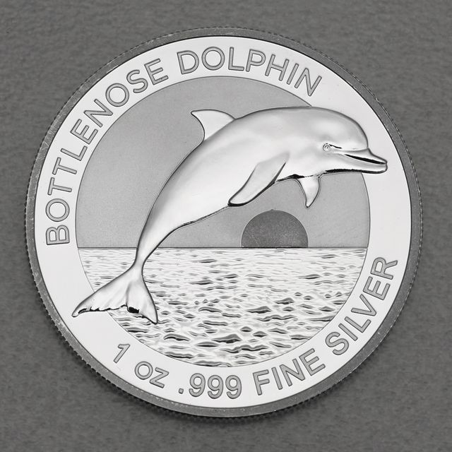Silbermünze 1oz Australien Bottlenose Dolphin 2019