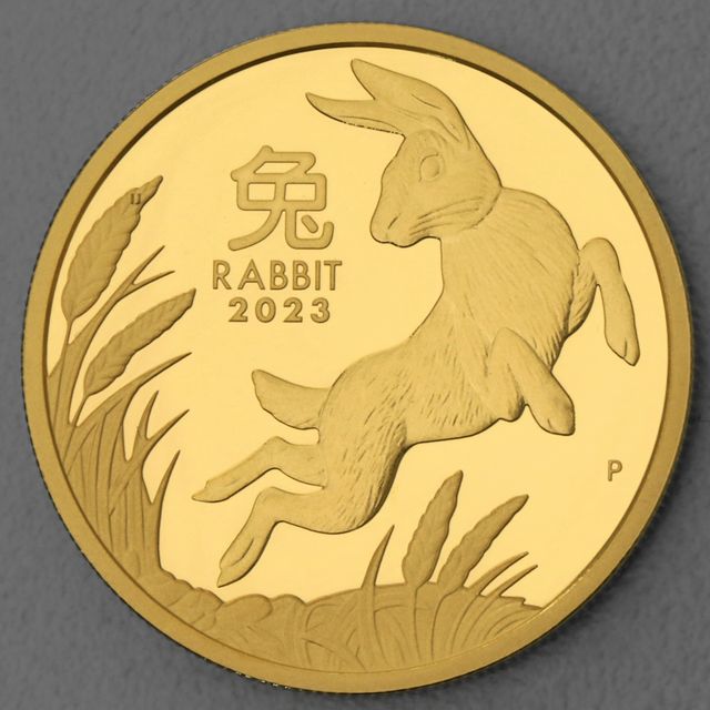 Year of the Rabbit 2023