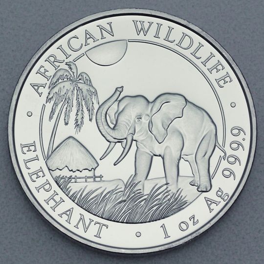 Somalia Elefant Silbermünze 2017