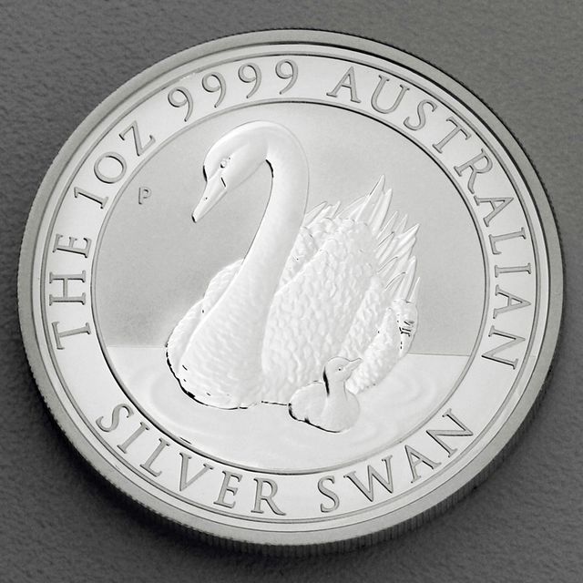 Australian Silver Swan 2018