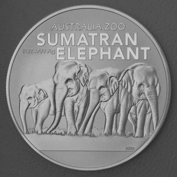 Silbermünze 1oz Australia Zoo - 2022 Sumatran Elephant