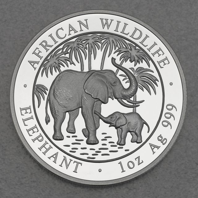 Silbermünze Somalia Elefant African Wildlife 2007