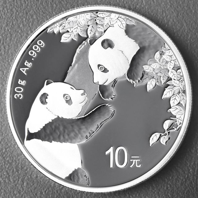 China Panda Silbermünze 2023