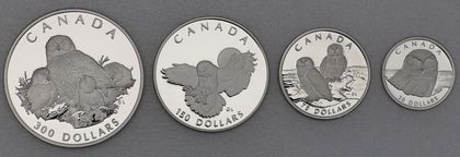 Platinmünzen Canada Wildlife Serie 1991 Snowy Owl / Schneeeule  1oz, 1/2oz, 1/4oz, 1/10oz