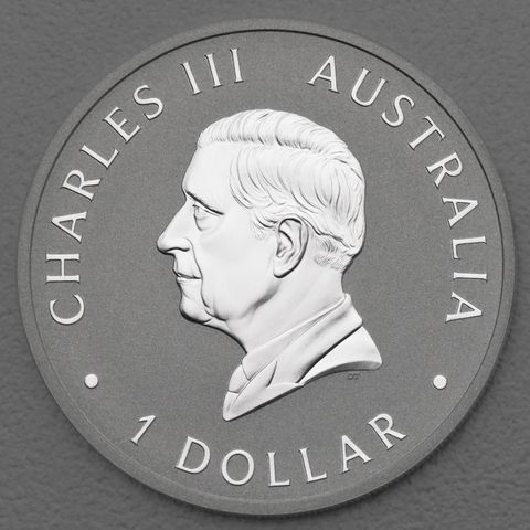 Australian Silver Swan 2024