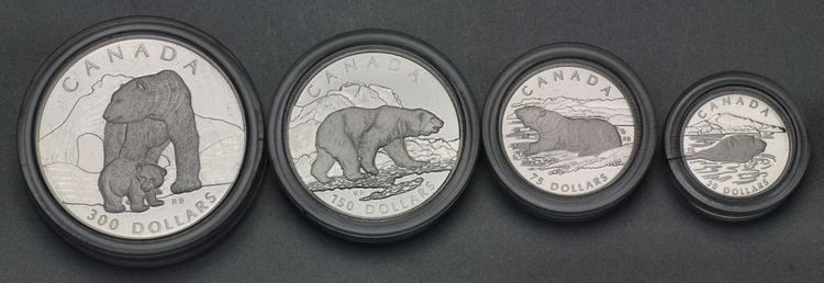 Platinmünzen Ice Bear Canada 1 oz, 1/2 oz, 1/4 oz, 1/10 oz Platin