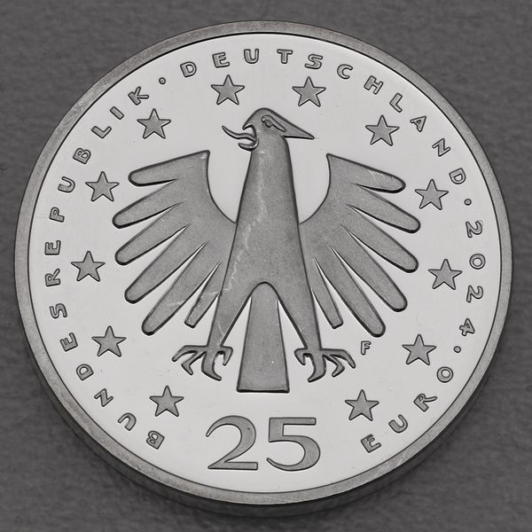 Silbermünze 25 Euro 2024