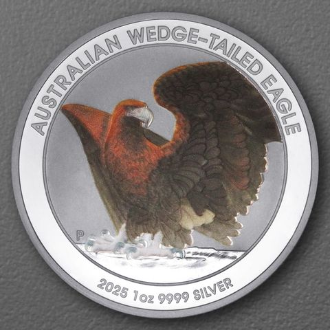 Silbermünze 1oz Australian Wedge-Tailed Eagle 2025 kolorierte Ausgabe in Coin Card