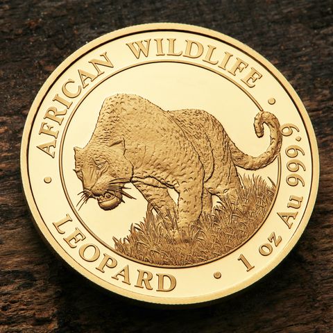 African Wildlife - Somalia Leopard, 1oz Goldmünze 2023
