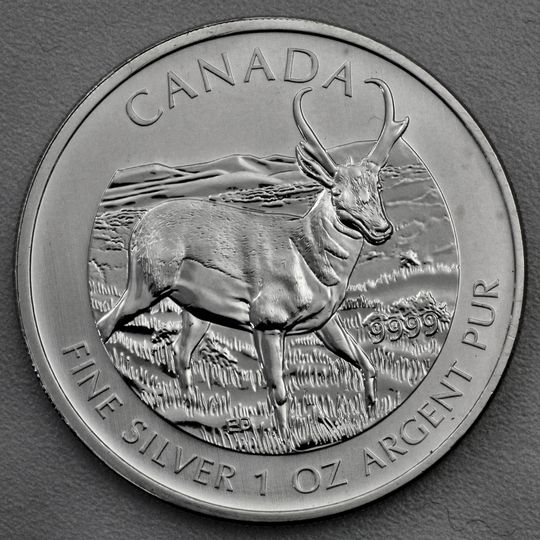 Wildlife Kanada 2013 Gabelbock Silbermünze