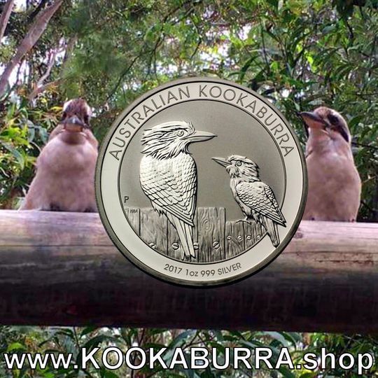 Zum Kookaburra Shop