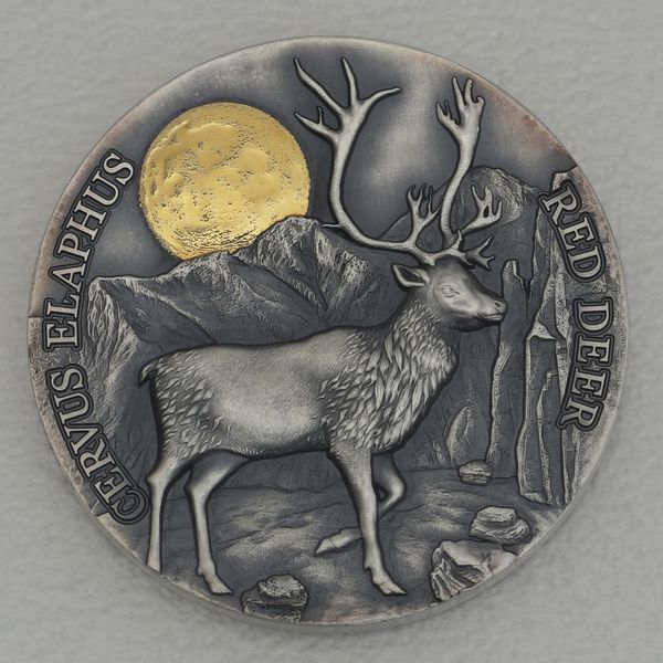 Silbermünze 1/2oz Ghana 2021 2 Cedis "Wildlife in the Moonlight" - Rothirsch