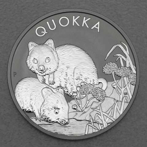Silbermünze Australian Quokka 2022