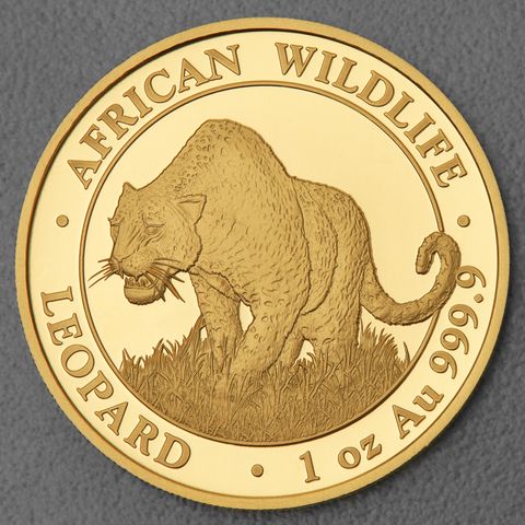 Goldmünze 1oz Somalia Leopard 2023