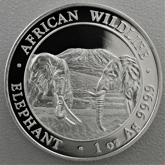 Somalia Elefant Silbermünze 2020
