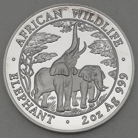 Silbermünze 2oz Sambia Elefant 2003 Proof Ausgabe