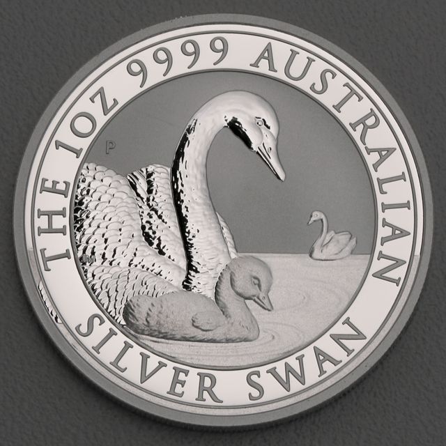 Australian Silver Swan 2019