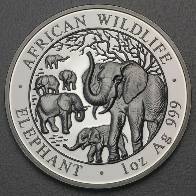 Silbermünze Somalia Elefant African Wildlife 2008