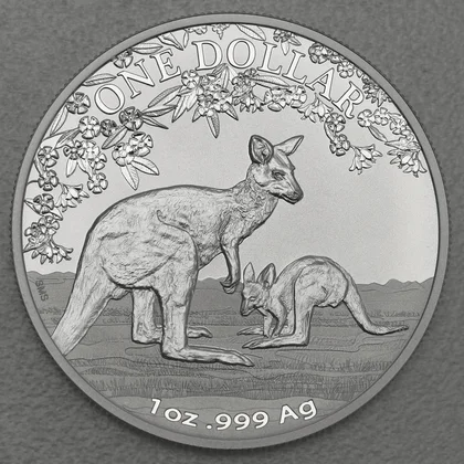 Känguru Silbermünze Australien 2017 "Season Change"