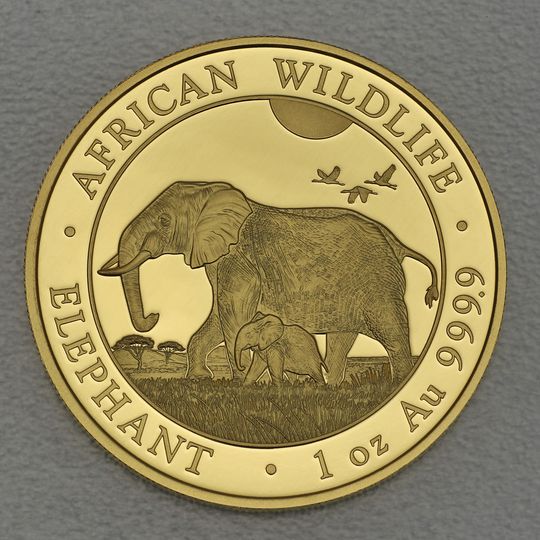 Goldmünze Somalia Elefant 2022