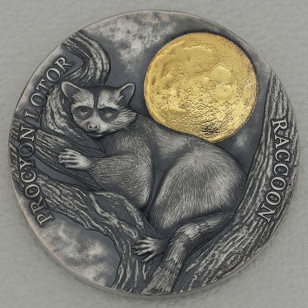 Silbermünze 1/2oz Ghana 2021 2 Cedis "Wildlife in the Moonlight" - Waschbär
