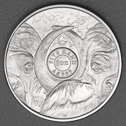 Silbermünze 1oz Big Five II - 2023 Büffel