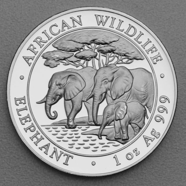 Silbermünze Somalia Elefant African Wildlife 2013