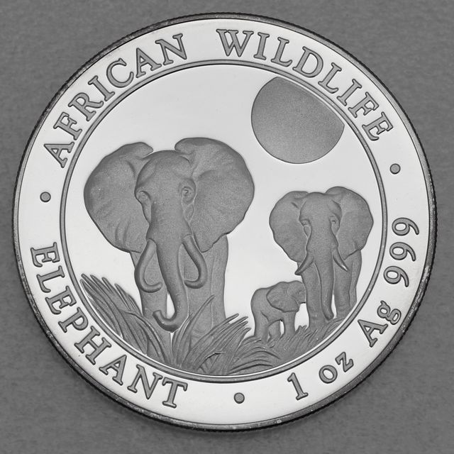 Silbermünze Somalia Elefant African Wildlife 2014
