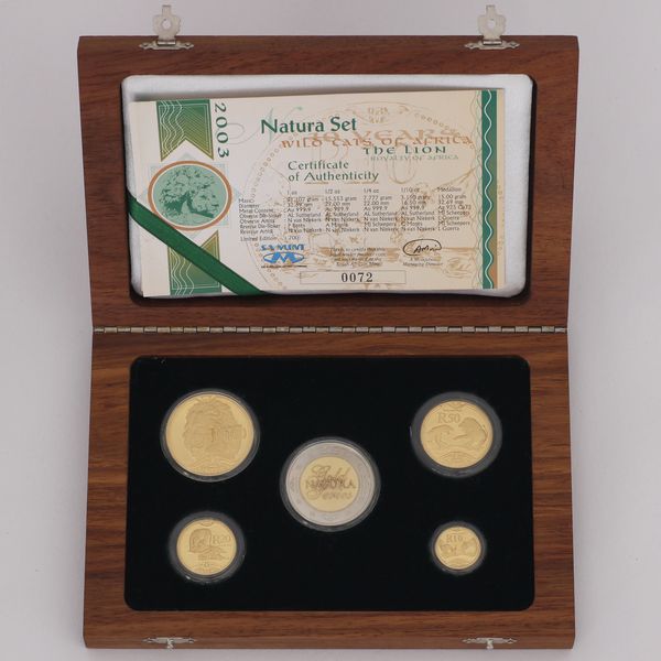 Natura Wildcats of Africa Set 2003 in Schatulle