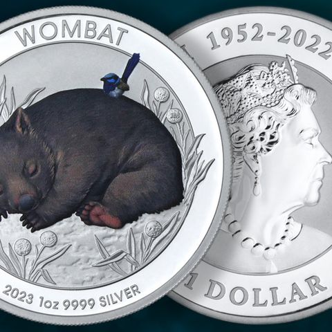 Silbermünze 1oz Australian Wombat 2023 koloriert