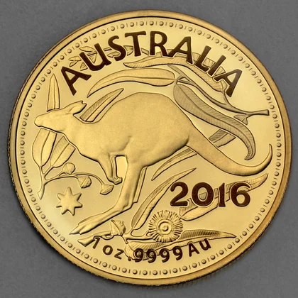 Australian Kangaroo (RAM)